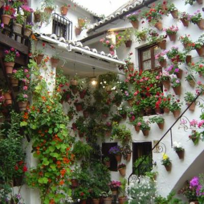 Spanish lessons that immerse you in the culture